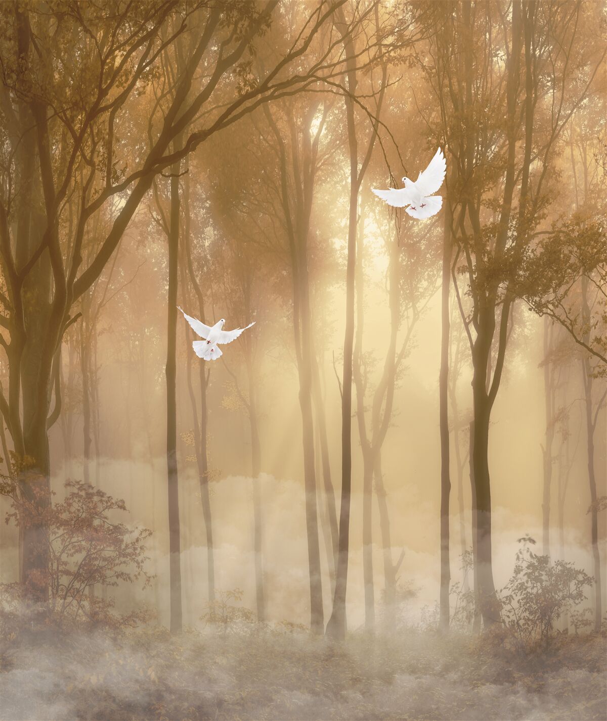 Fototapet porumbeii zburători taie acoperământul cețos