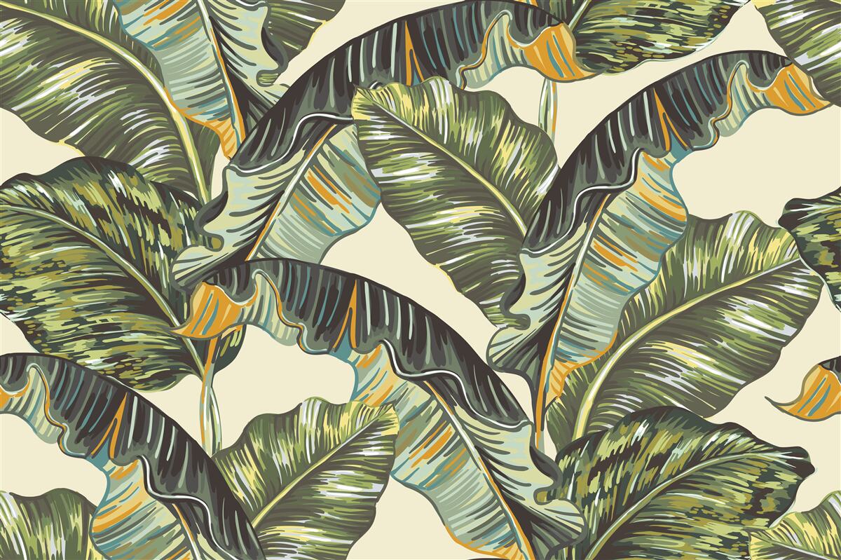 Fototapet multe nuanțe pe frunzele de ferigă