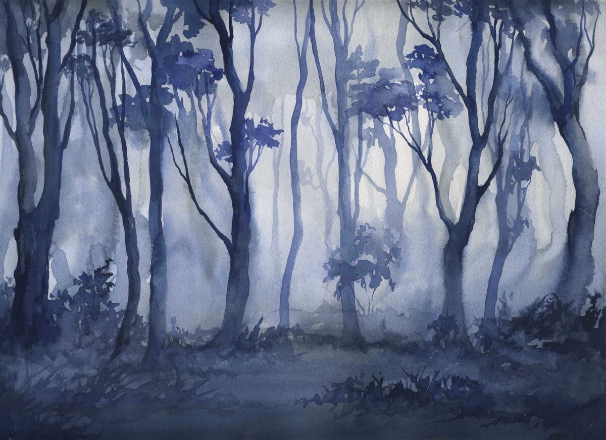 Fototapet ceață densă în mijlocul pădurii