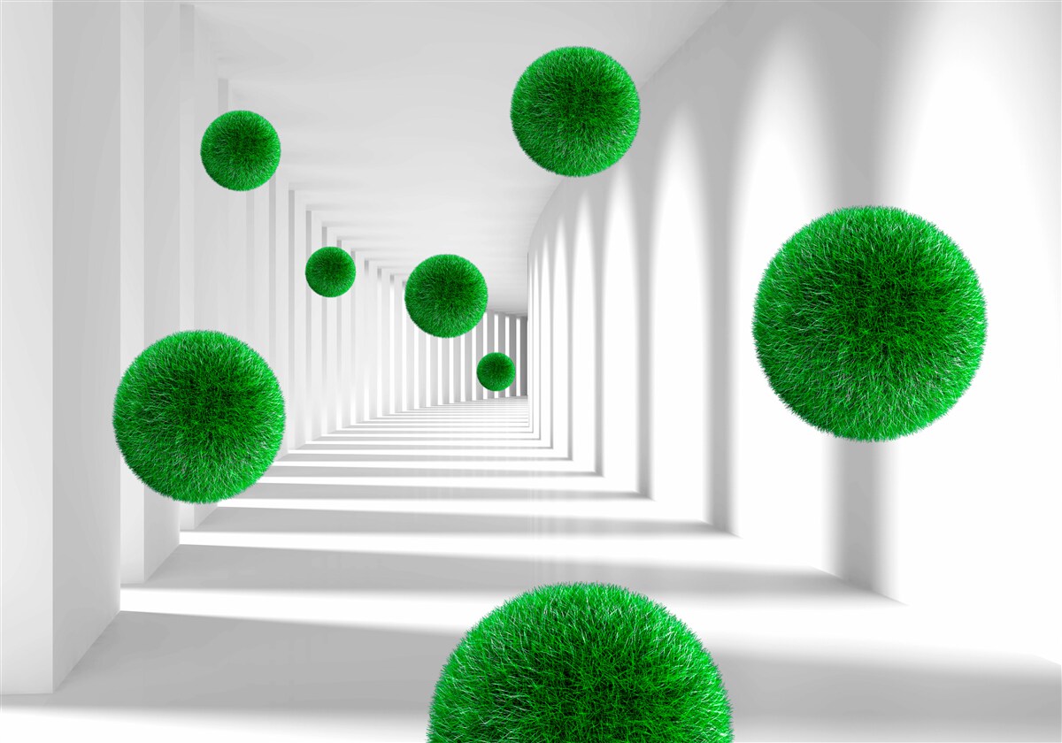 Fototapet bile verzi dense plutitoare