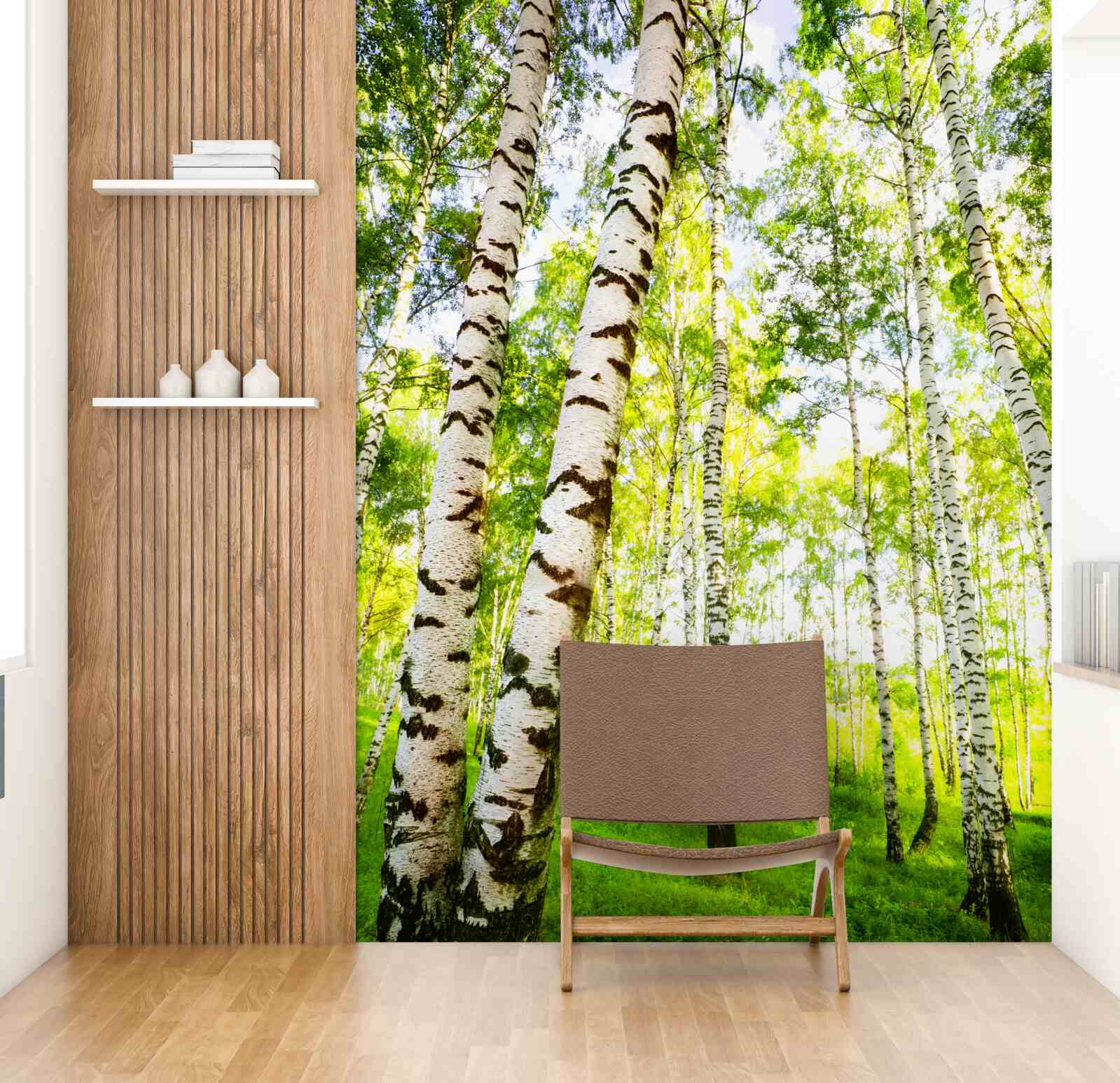 Fototapet o livadă de vară de mesteceni subțiri