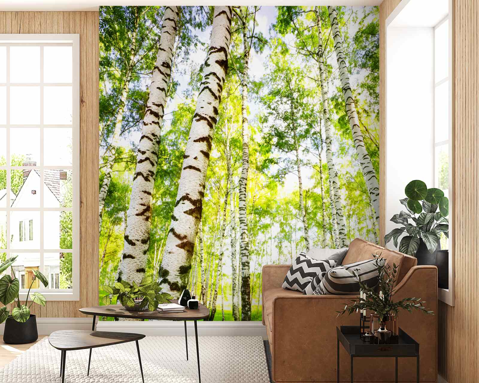 Fototapet o livadă de vară de mesteceni subțiri