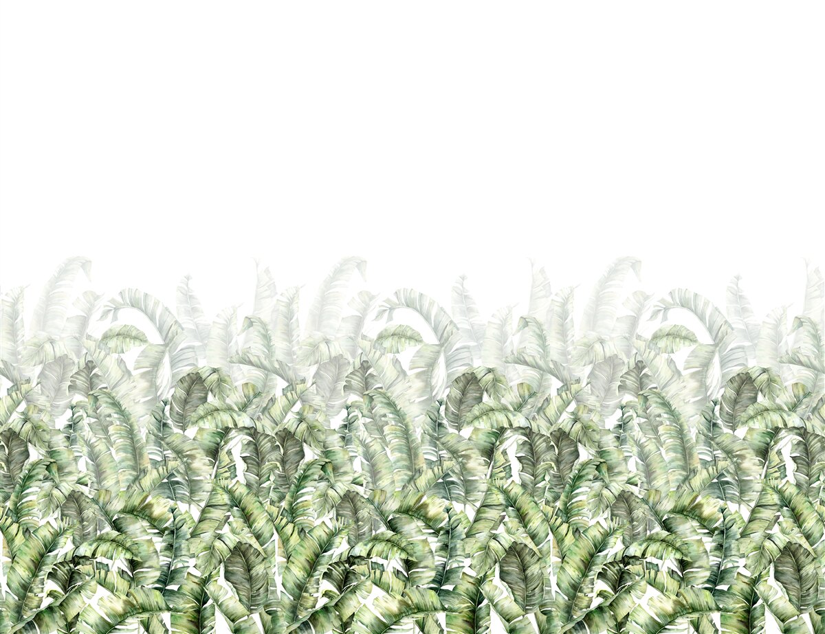 Fototapet ferigă albă densă și ceață