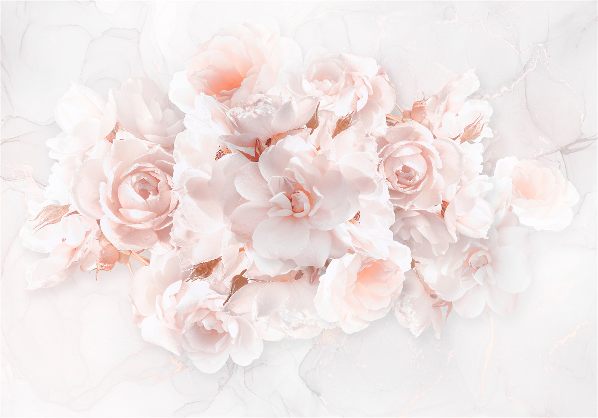 Fototapet compoziție de bujori rafinate