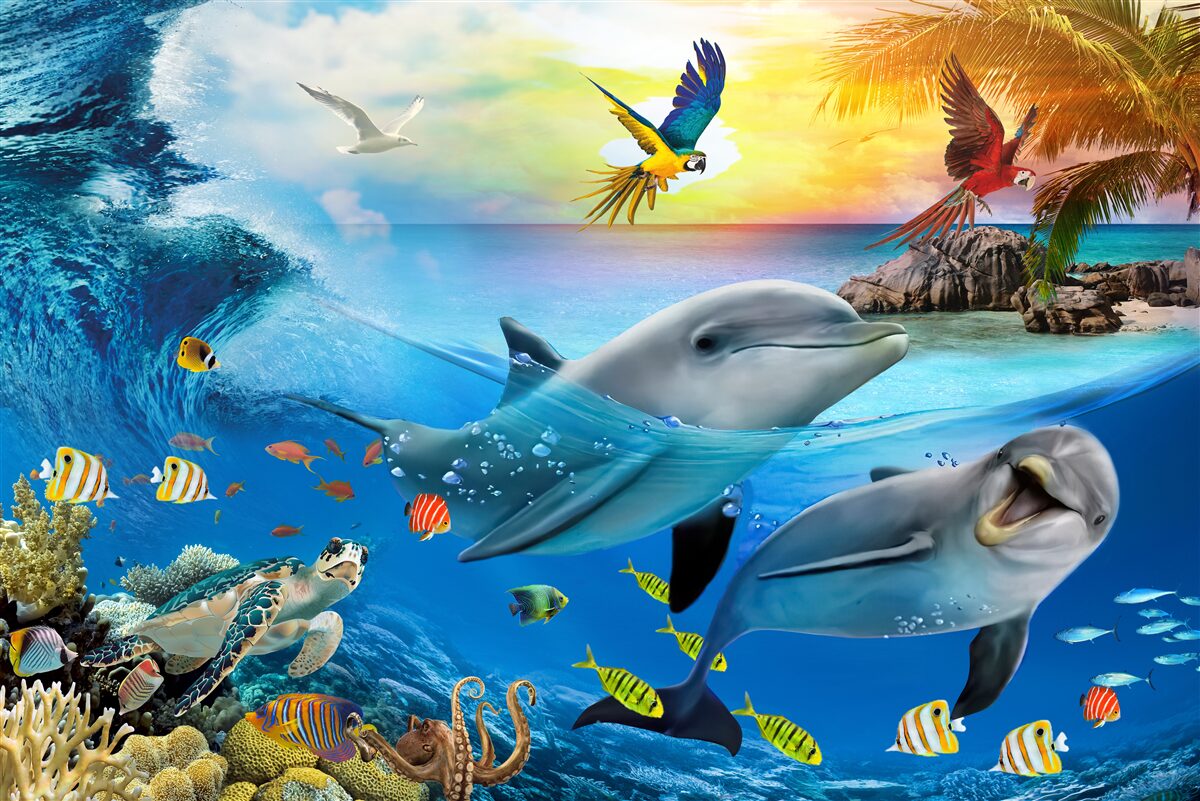 Fototapet Zorii îi așteaptă pe delfini