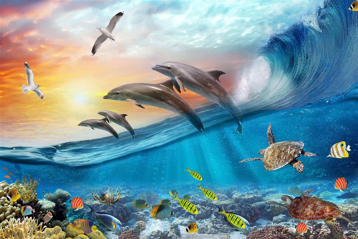 Fototapet delfinii sar din valuri