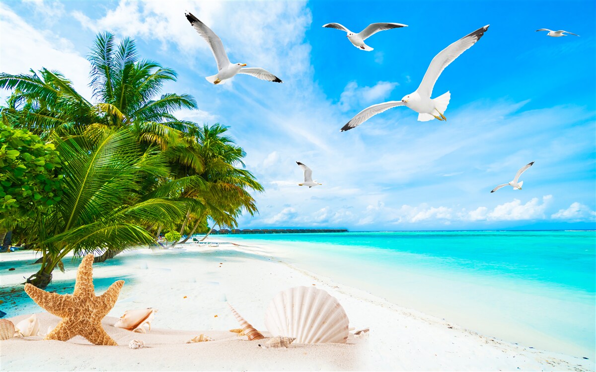 Fototapet țărm tropical calm