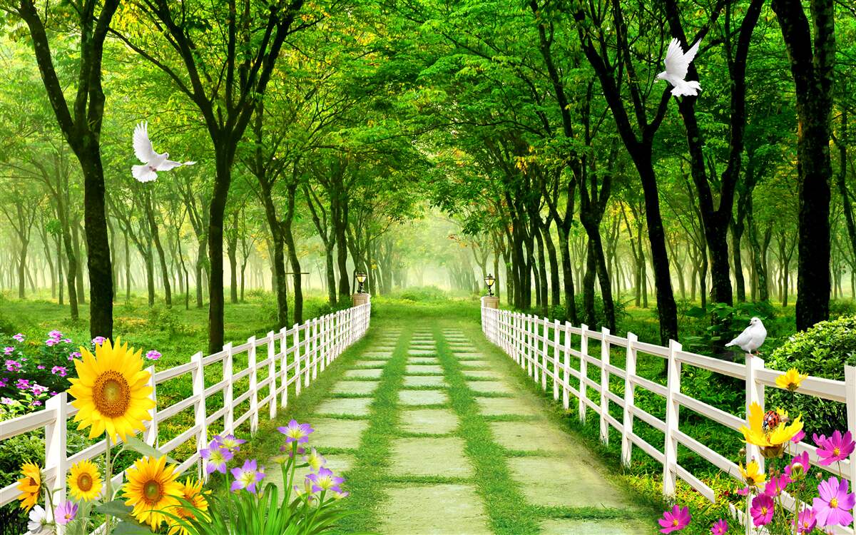 Fototapet o pădure verde și luxuriantă și o cărare presărată cu flori