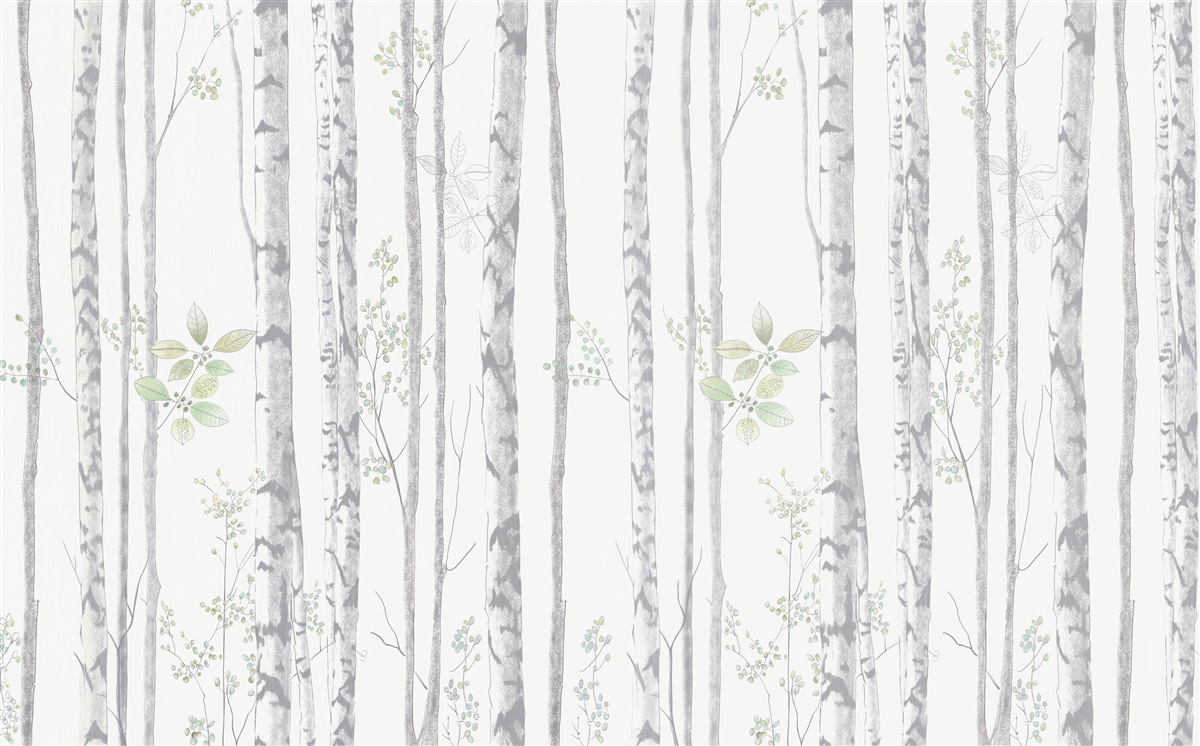 Fototapet mesteacăn subțire