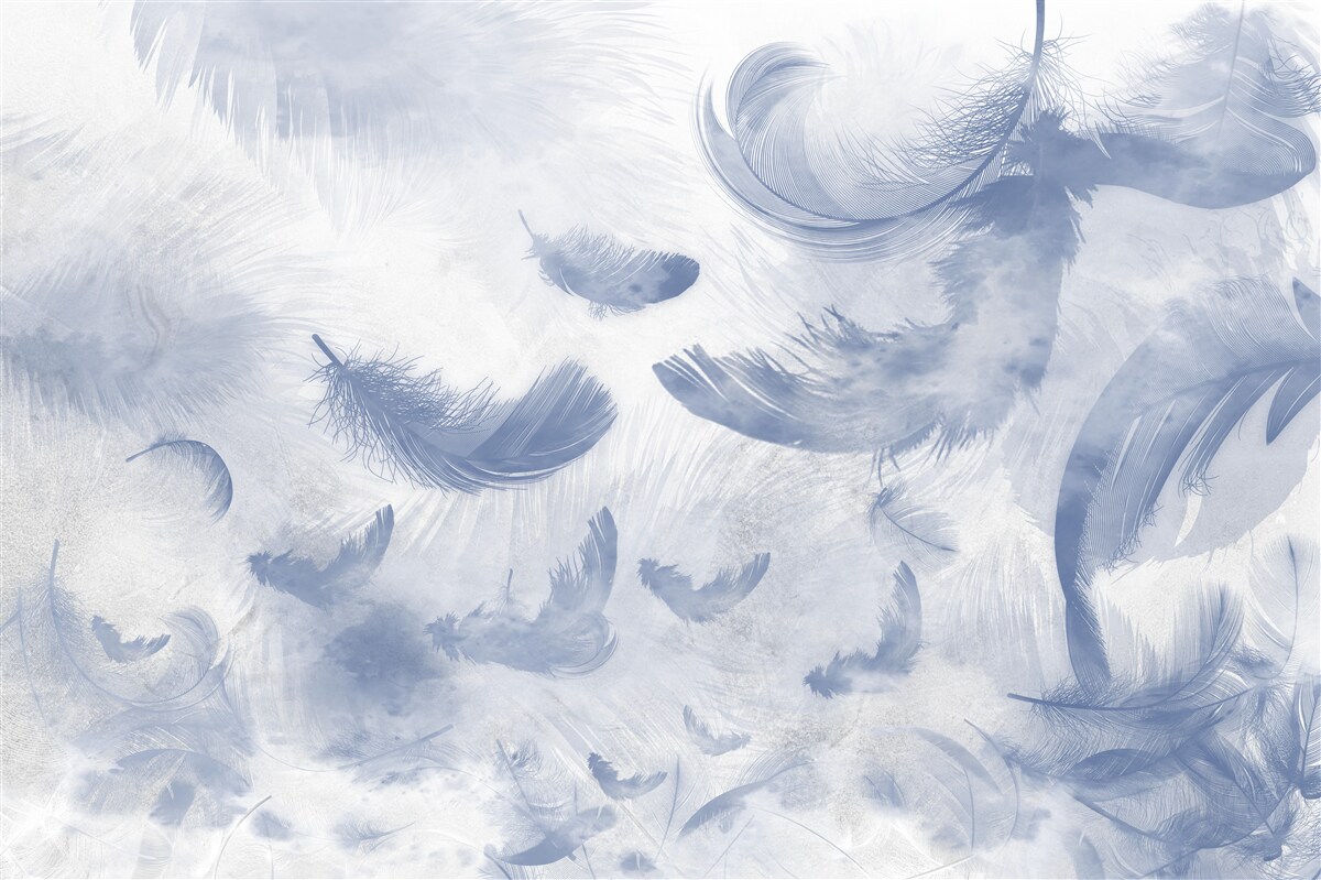 Fototapet pene zburătoare ale cerului