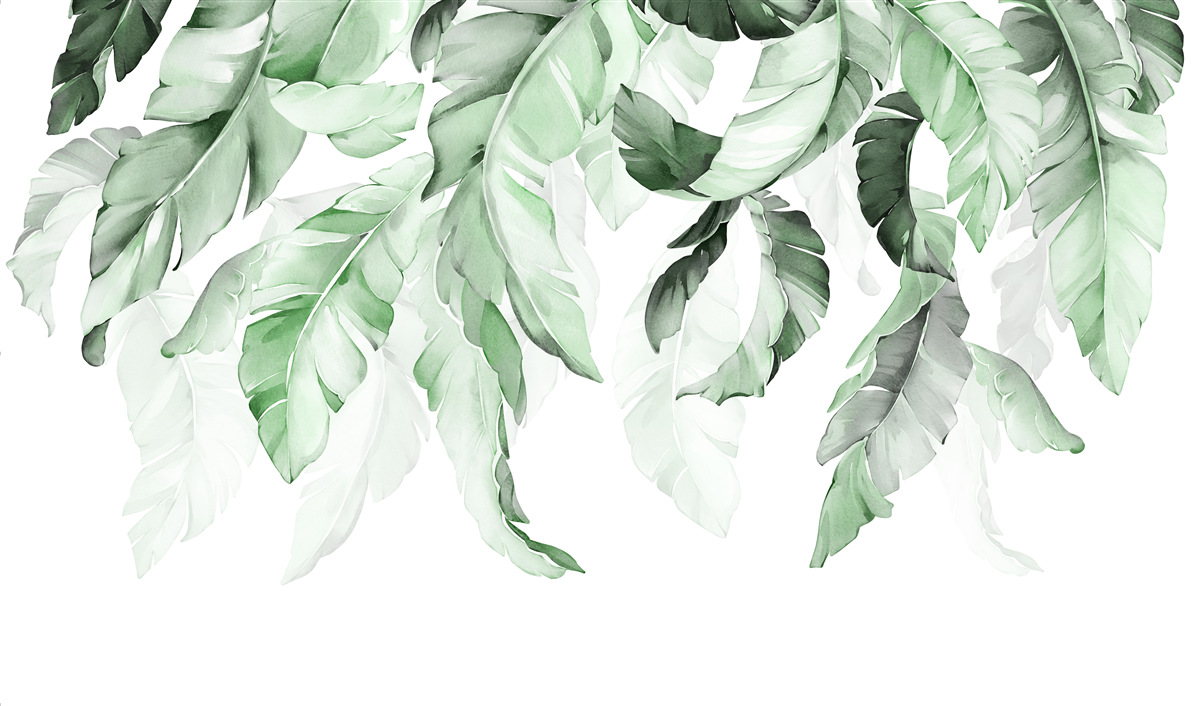 Fototapet frunzele de ferigă atârnă în jos