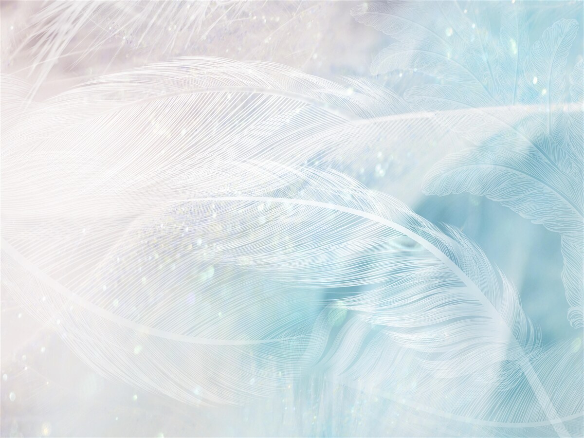 Fototapet pene în abstract