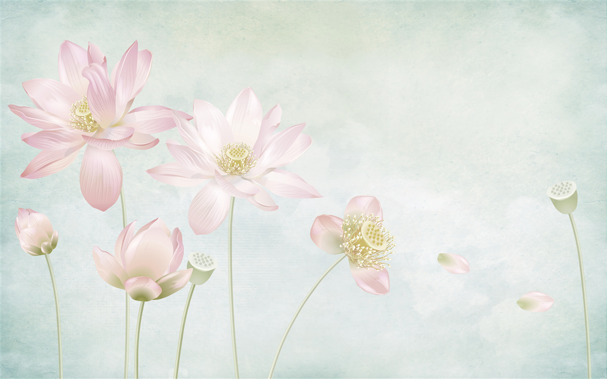 Fototapet maci grațioși pe un fundal albastru