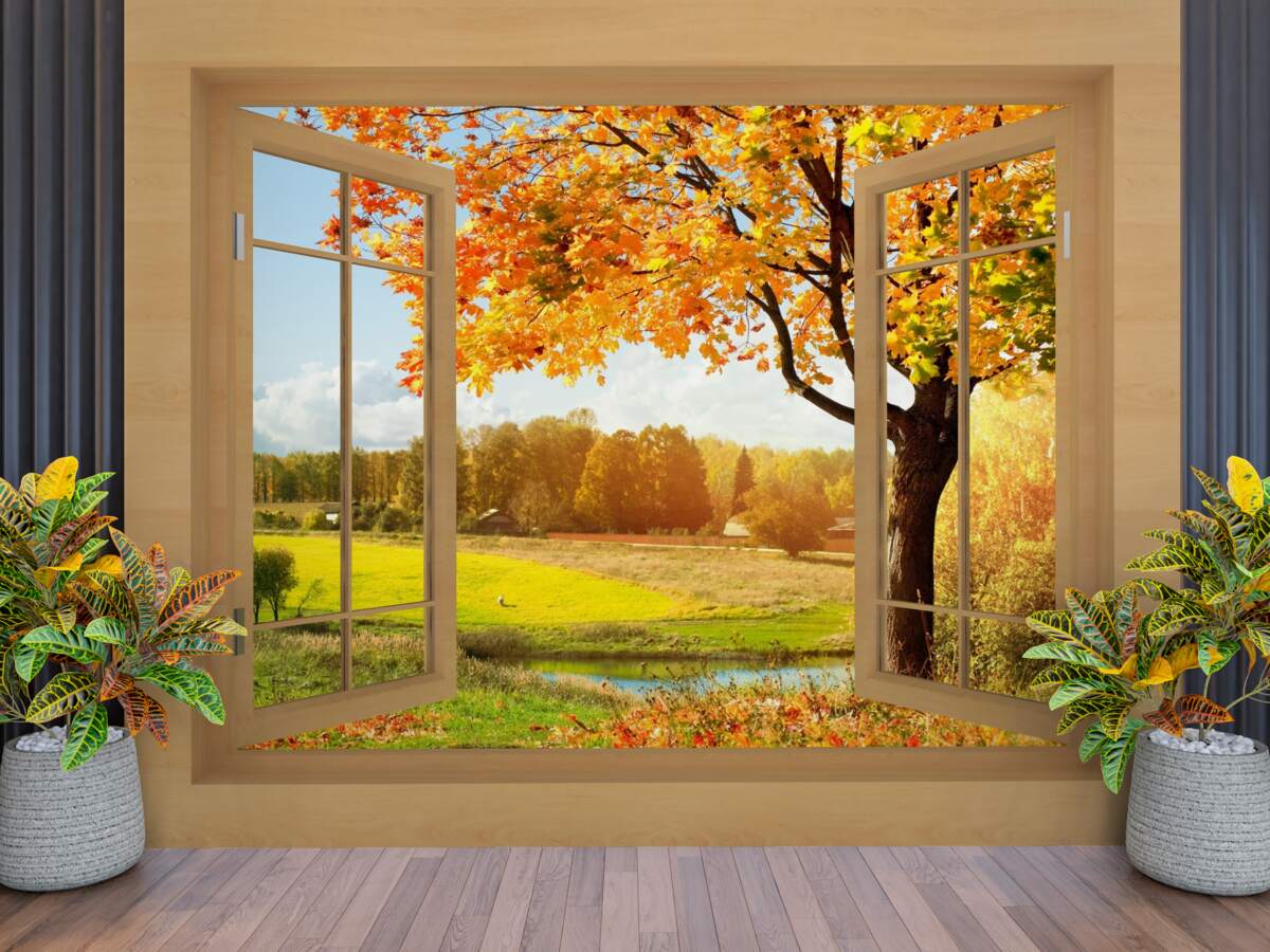 Fototapet vedere de toamnă de la fereastră