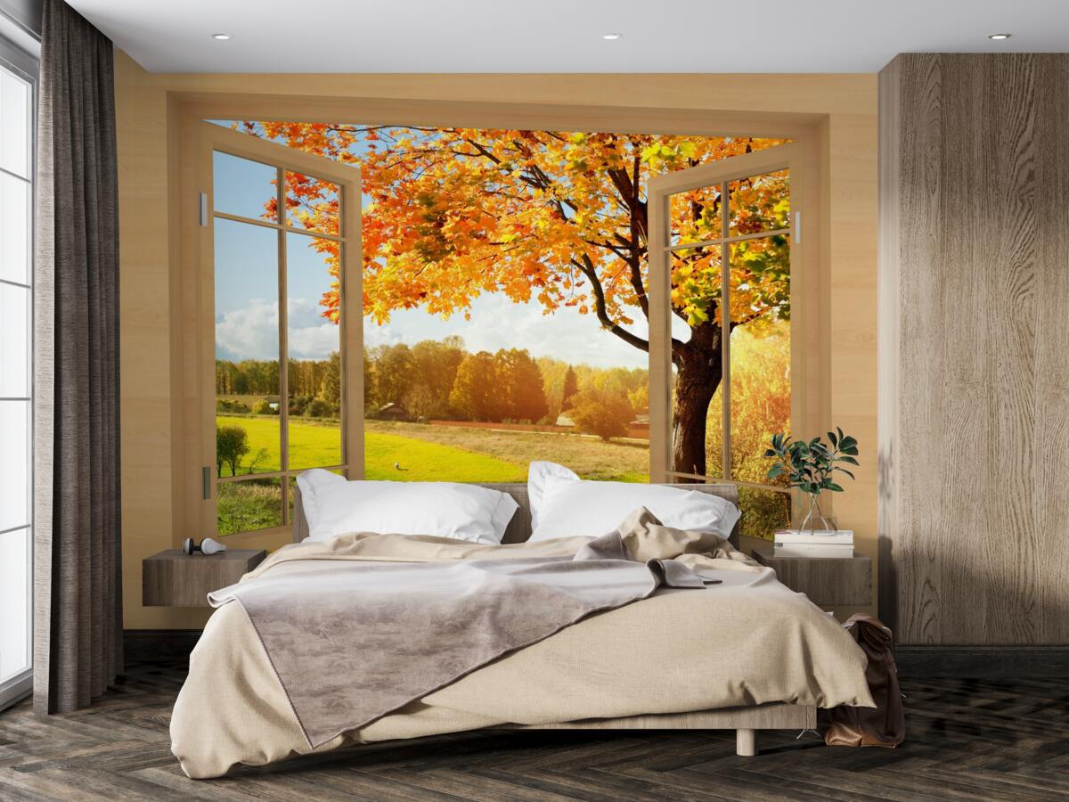 Fototapet vedere de toamnă de la fereastră