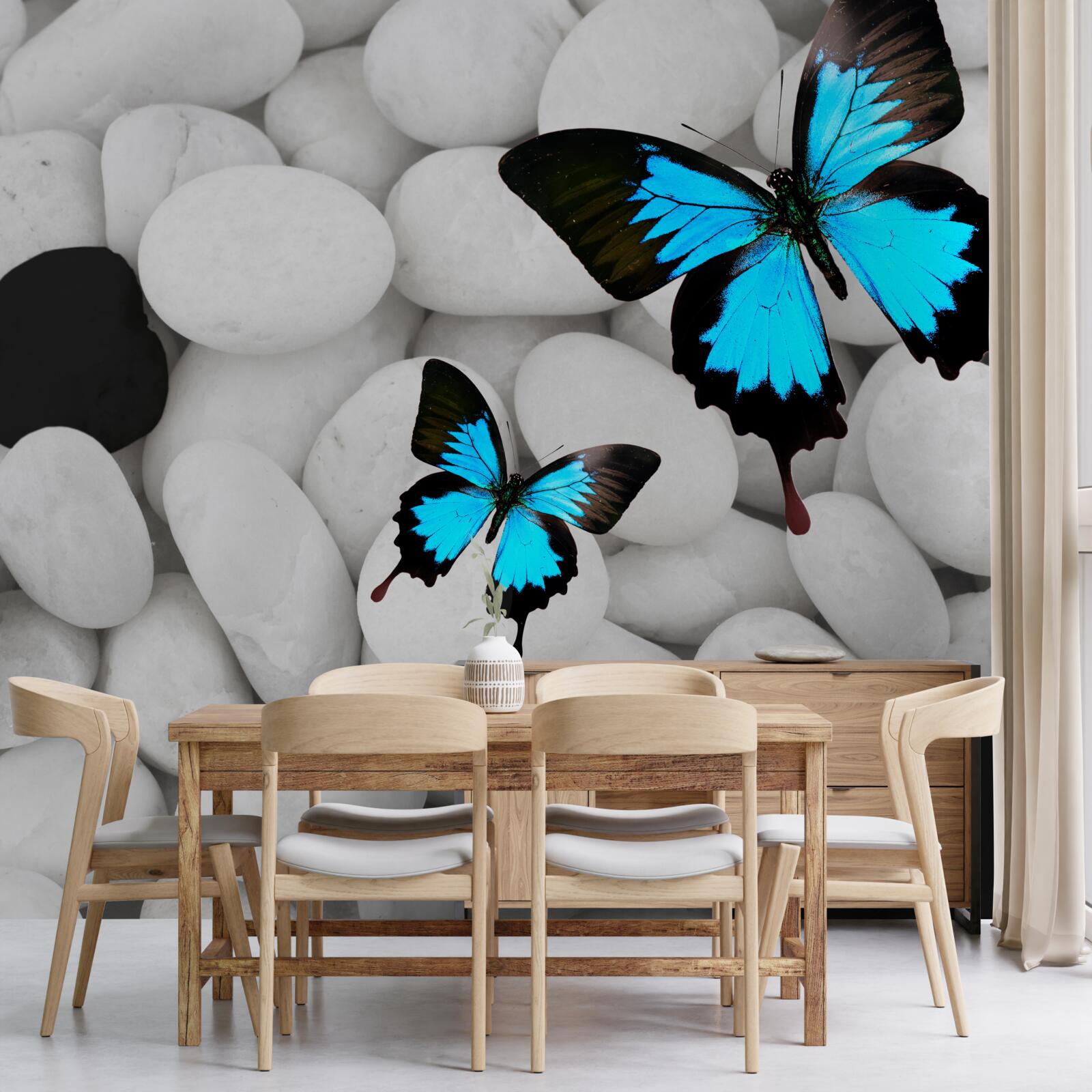 Fototapet fluturi colorați pe pietre strălucitoare