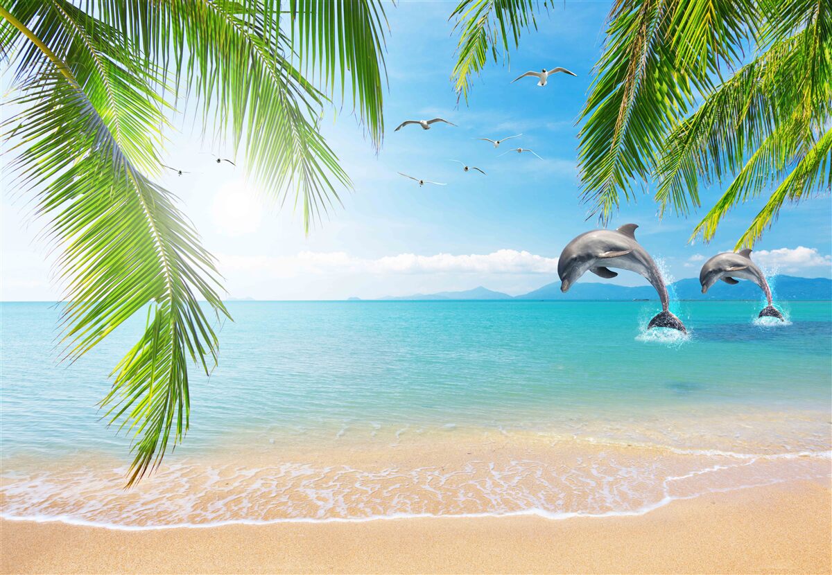 Fototapet doi delfini în largul coastei cu apă azurie