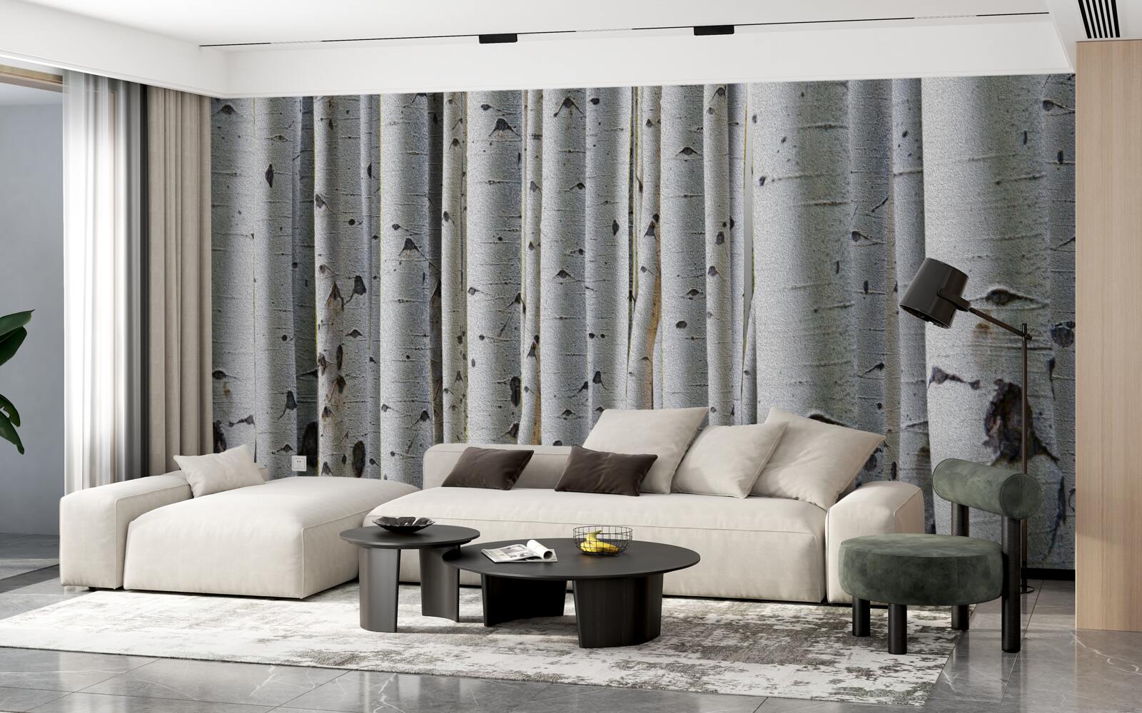 Fototapet pădure de mesteceni