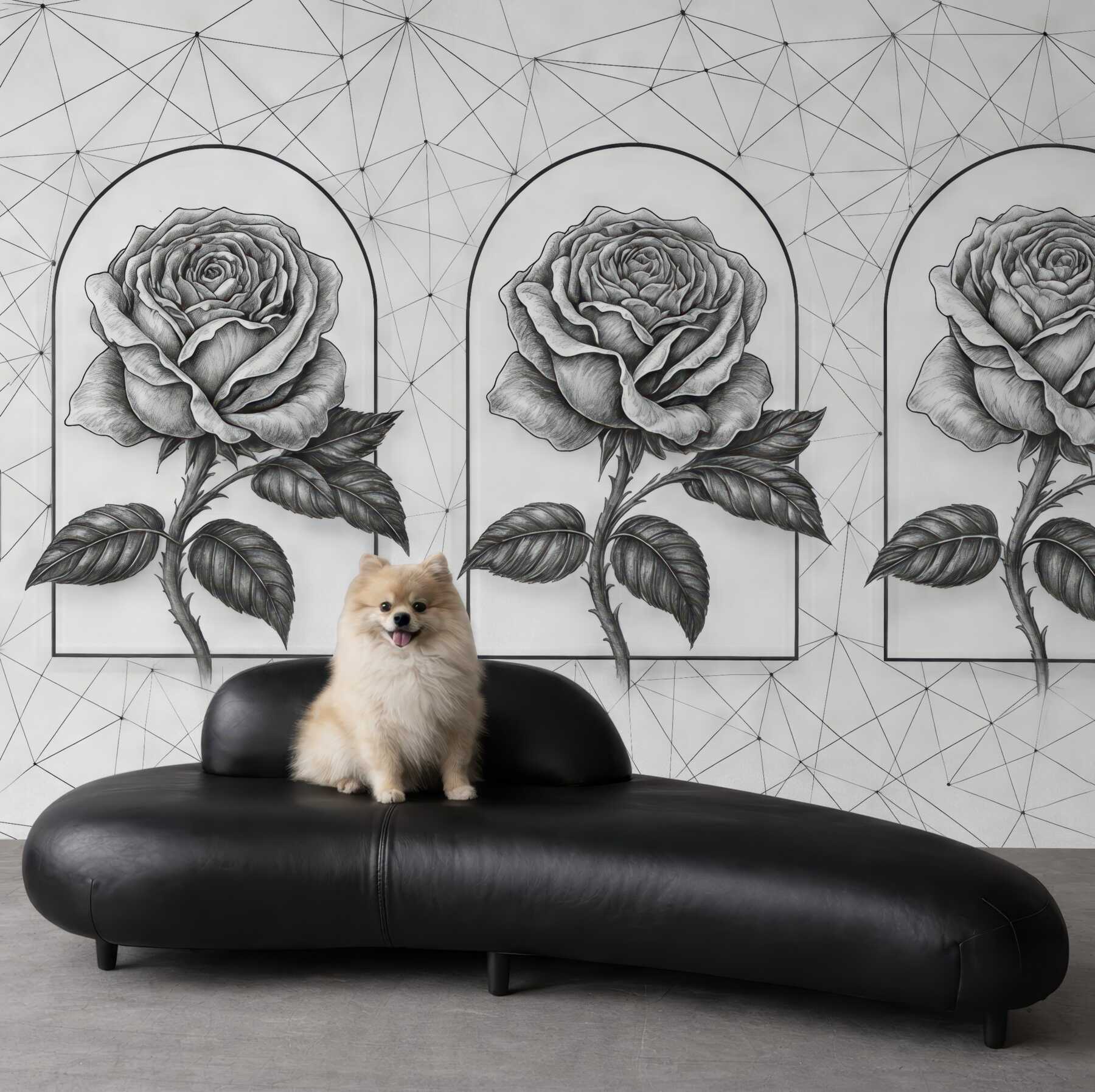 Fototapeta trzy róże w geometrycznych arkadach