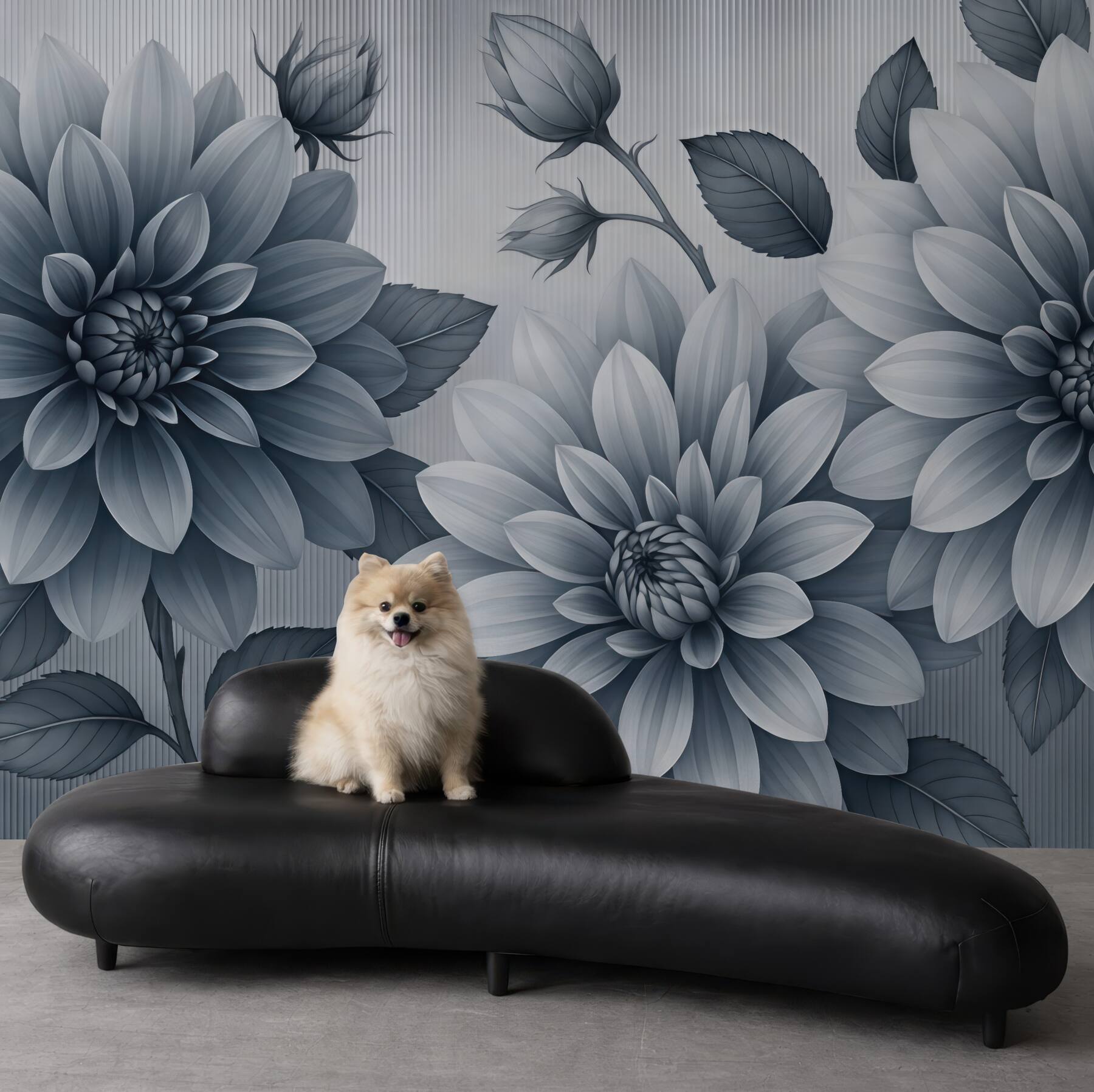 Fototapeta eleganckie grafitowe dalie w rozkwicie