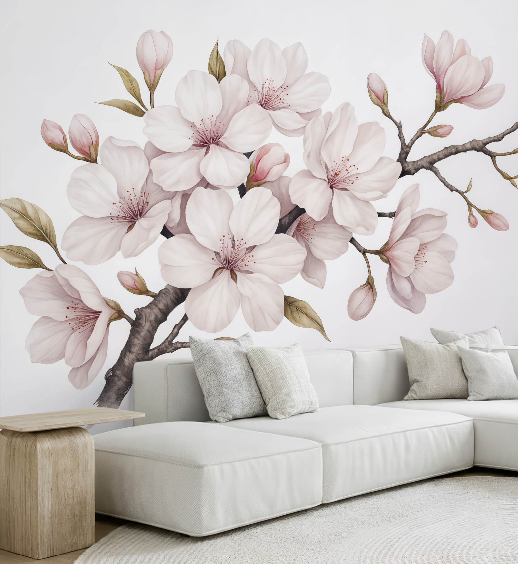 Fototapeta delikatna gałąź kwitnącej magnolii