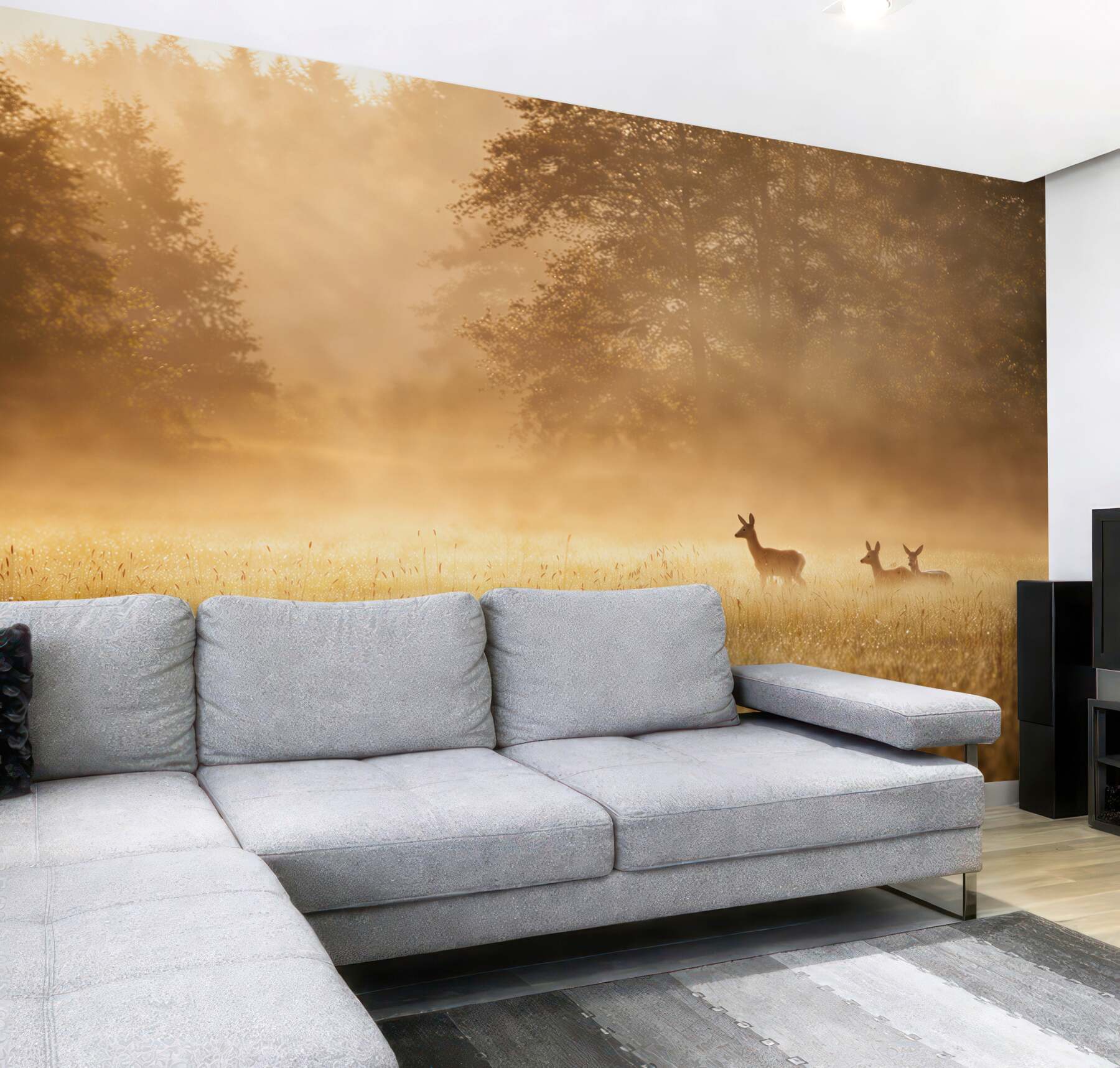 Fototapeta sarny na mglistej łące o wschodzie słońca