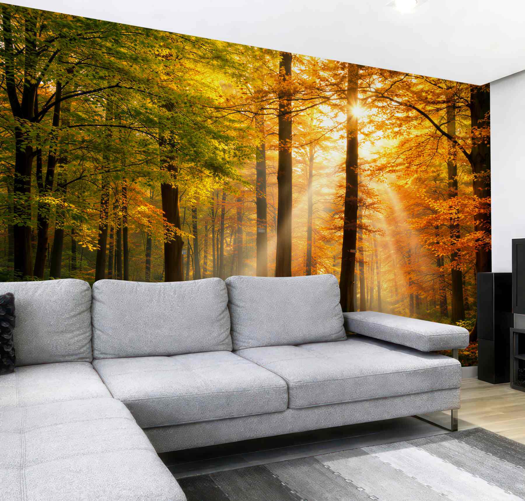 Fototapeta jesienny las ze słońcem i leśną ścieżką