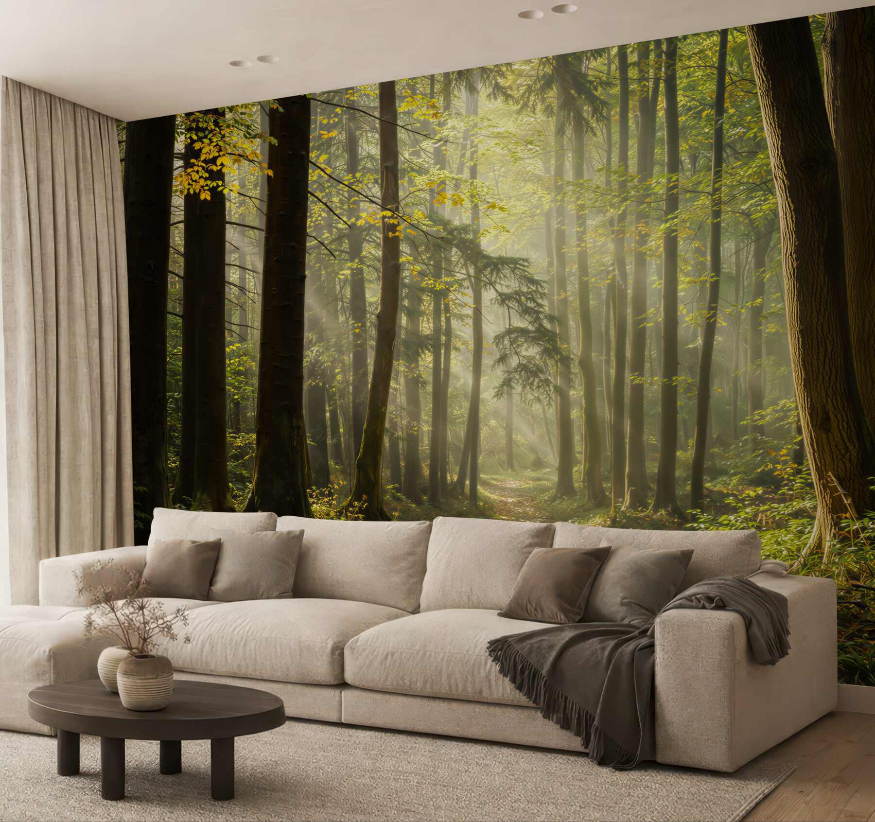 Fototapeta leśna ścieżka w promieniach słońca naturalny zielony las