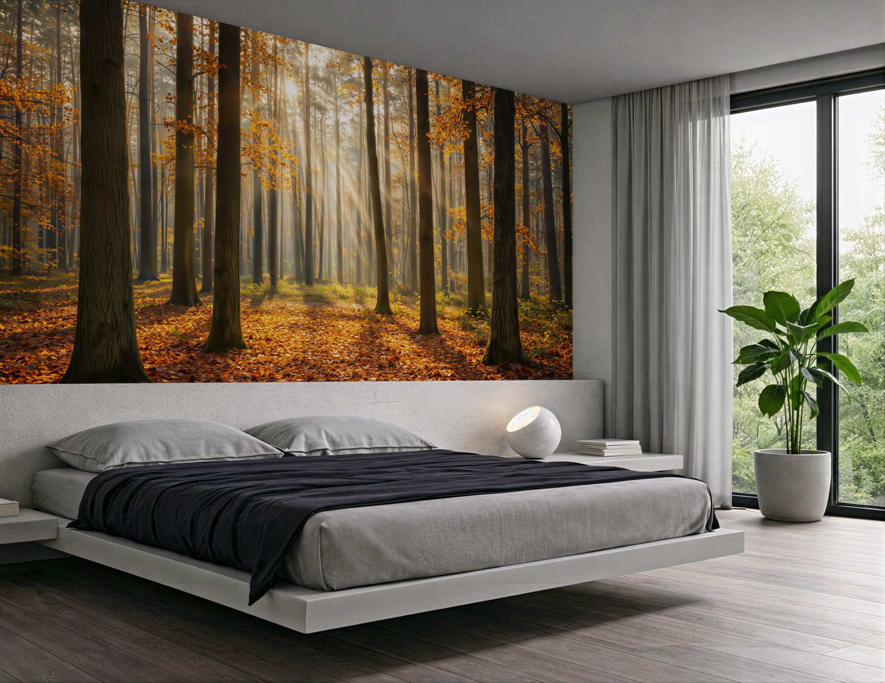 Fototapeta jesienny las ze smugami słońca ciepły naturalny krajobraz