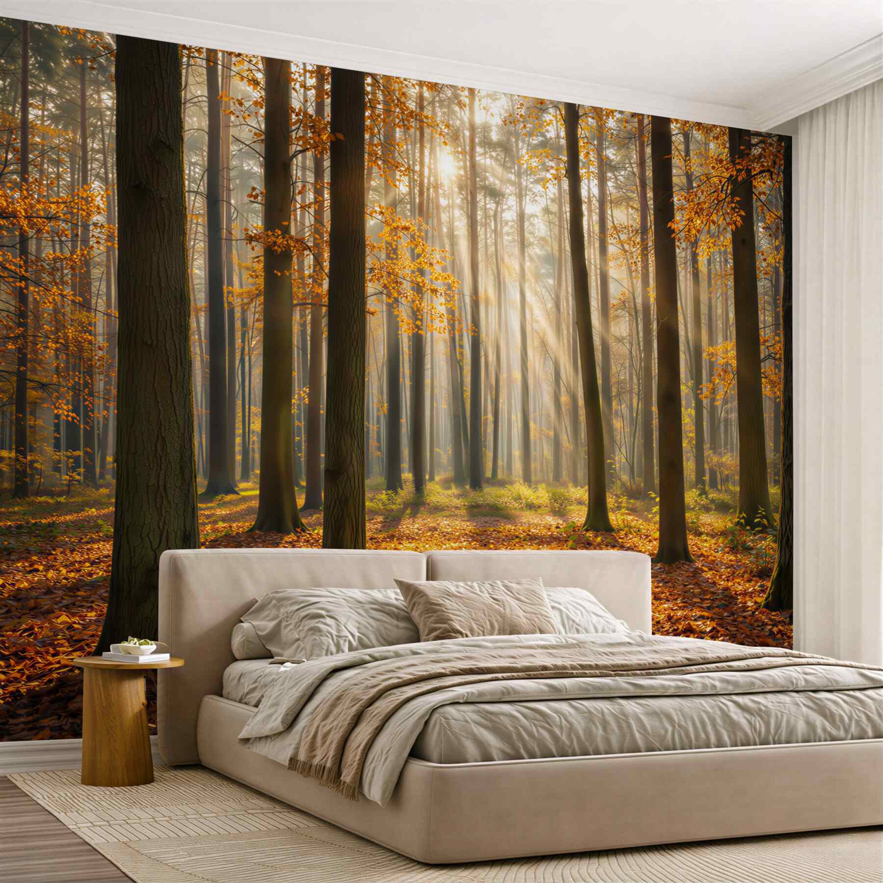 Fototapeta jesienny las ze smugami słońca ciepły naturalny krajobraz