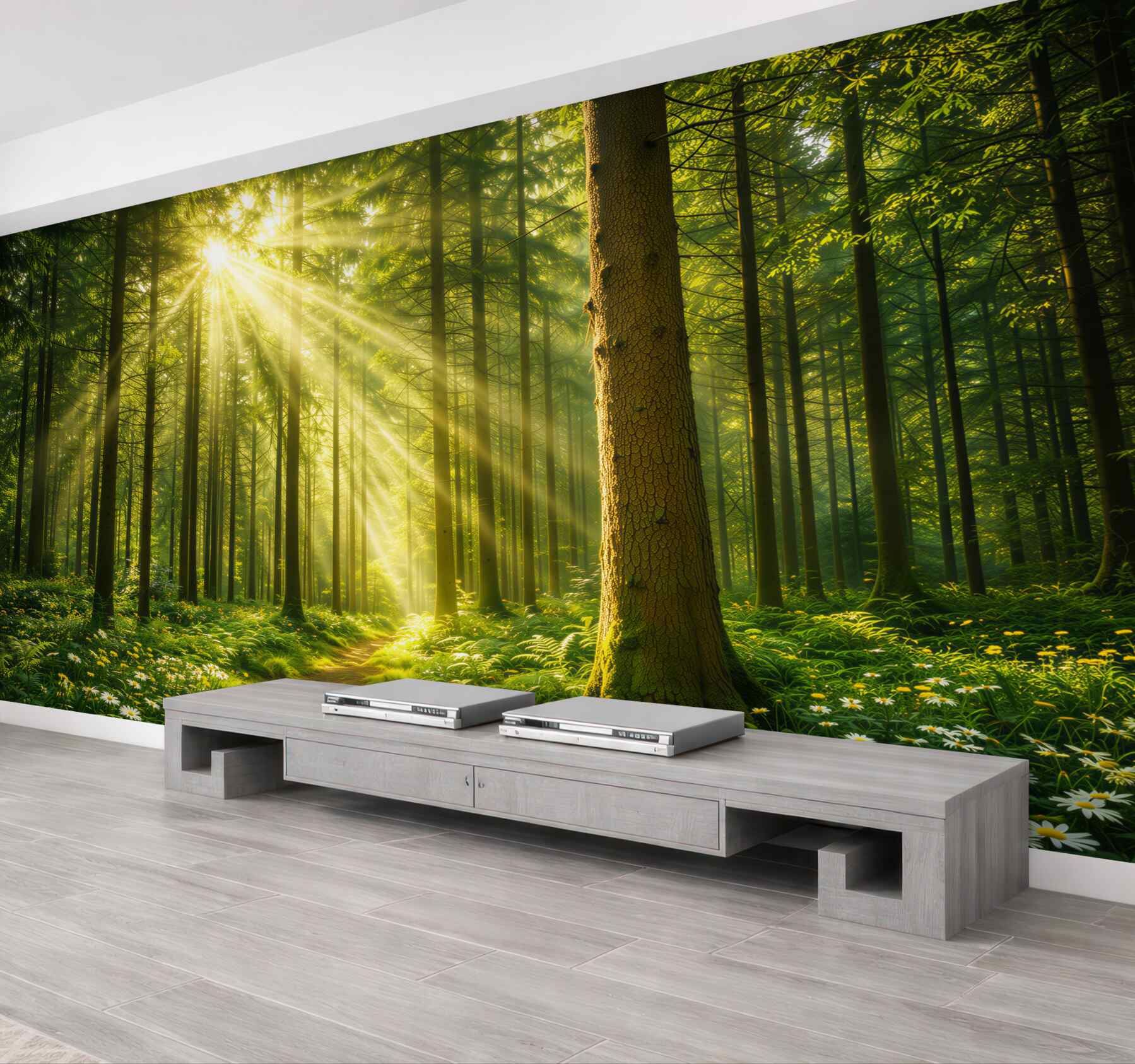 Fototapeta leśna ścieżka w promieniach słońca zielona naturalna