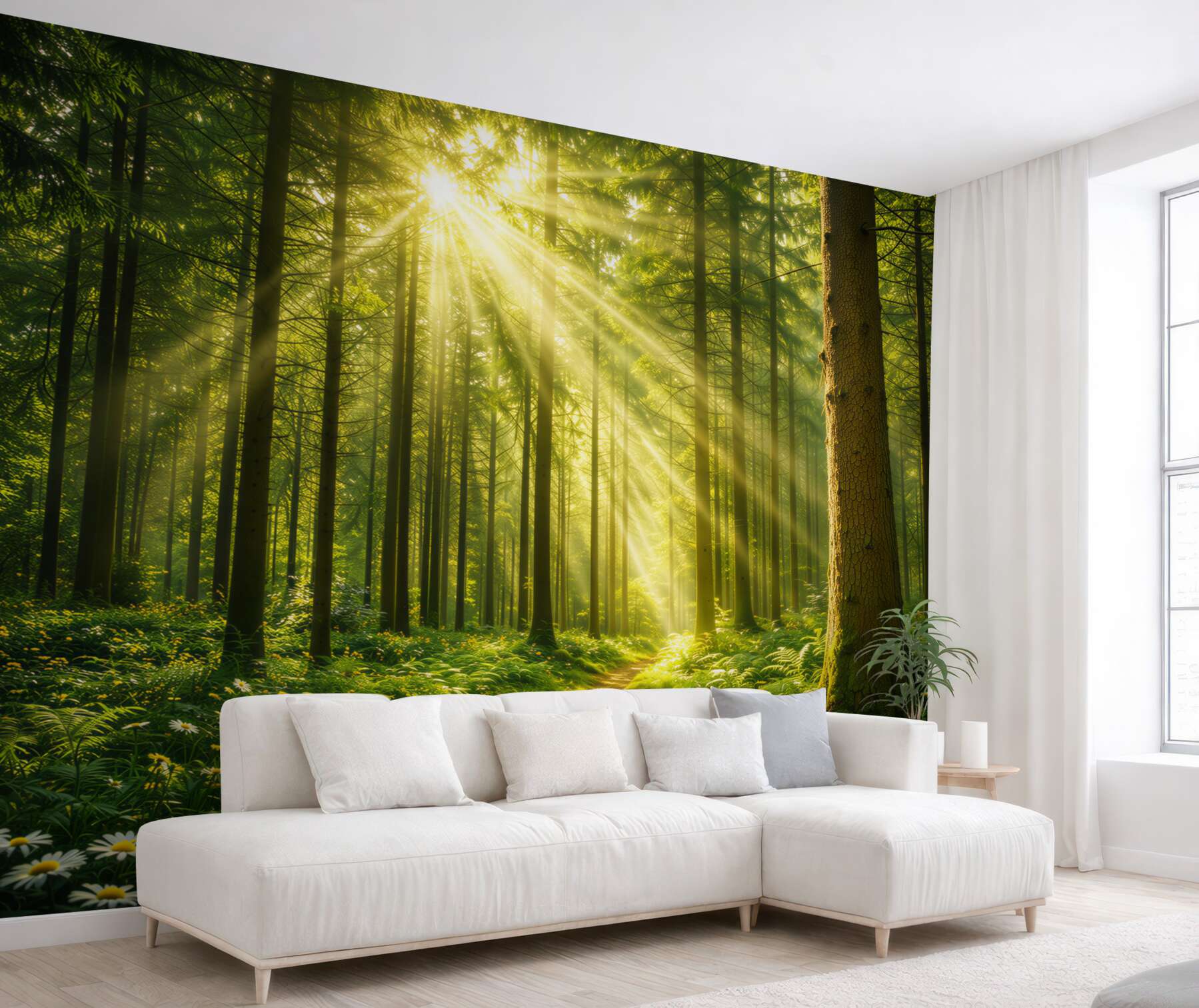 Fototapeta leśna ścieżka w promieniach słońca zielona naturalna