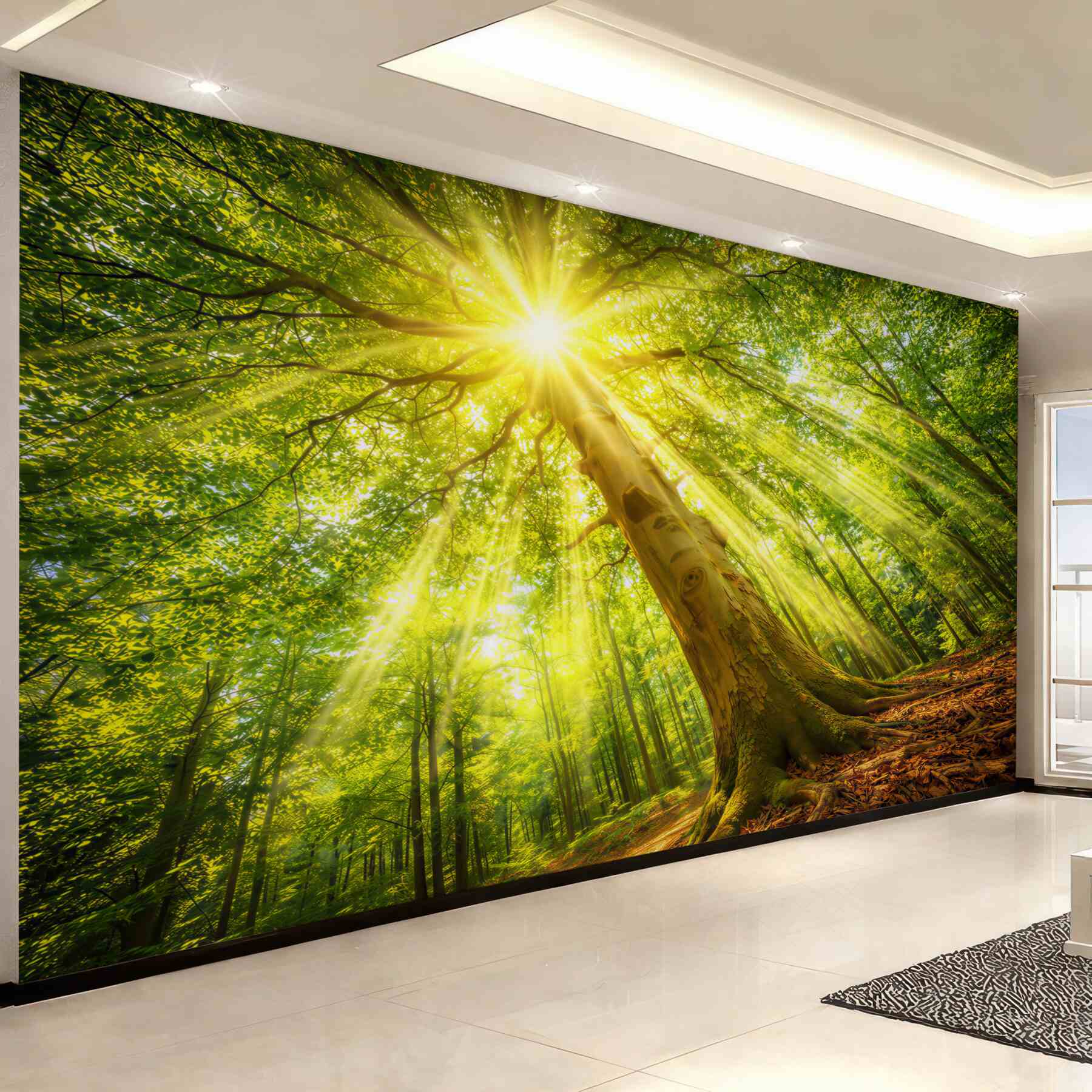 Fototapeta słoneczny las z promieniami słońca zielona natura
