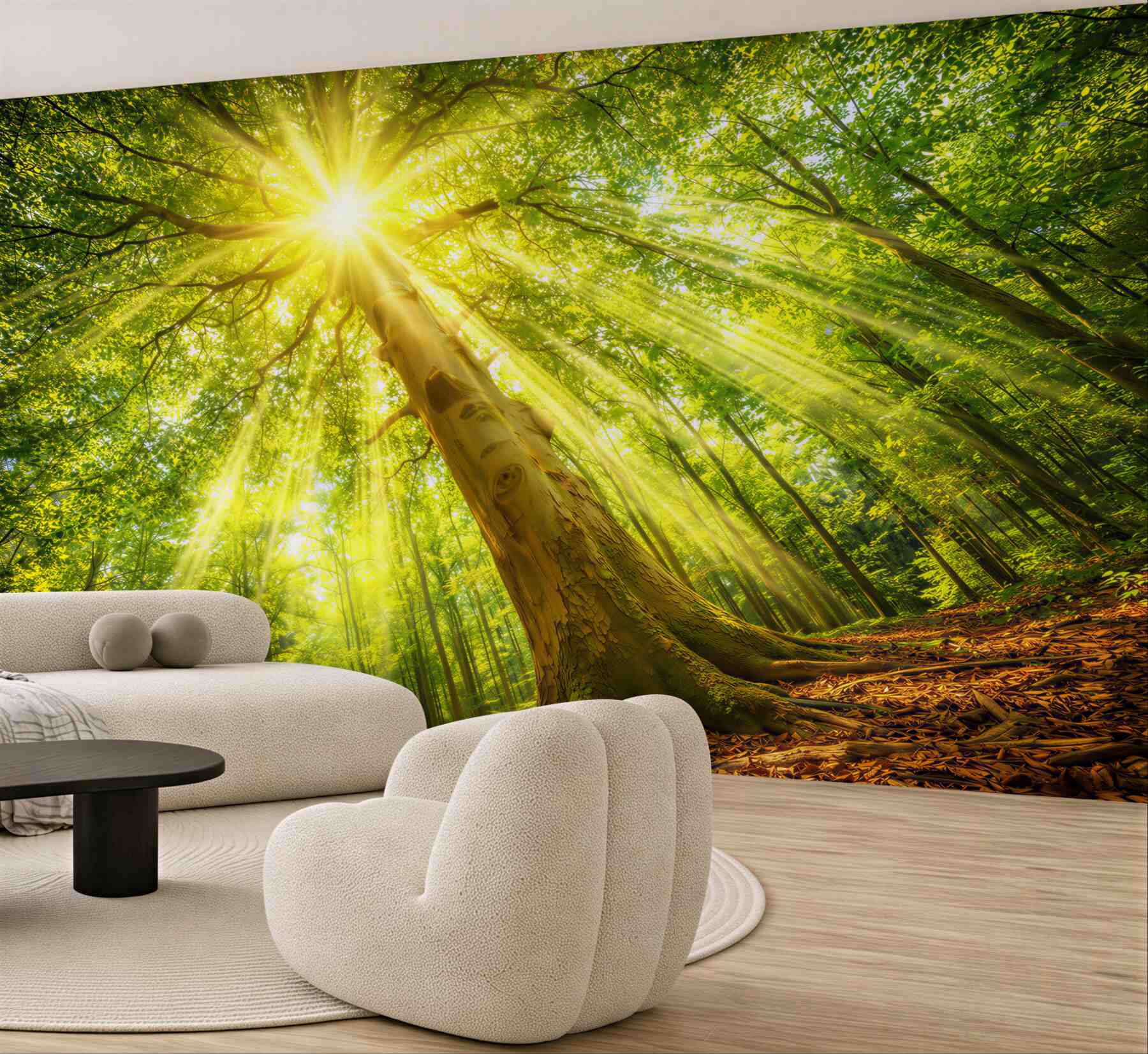 Fototapeta słoneczny las z promieniami słońca zielona natura