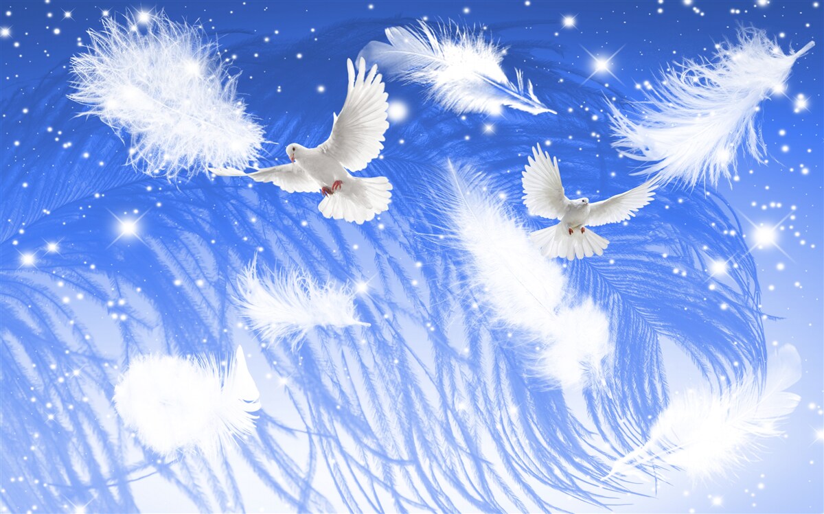 Fototapet deplasarea prin atmosfera de păsări strălucitoare și penajul lor