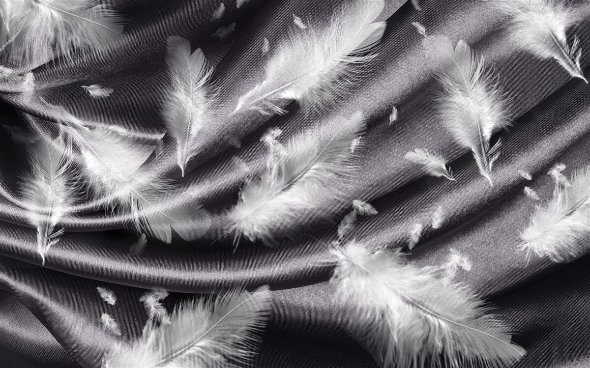 Fototapet penele de alb ca zăpada sunt așezate pe țesătura gri