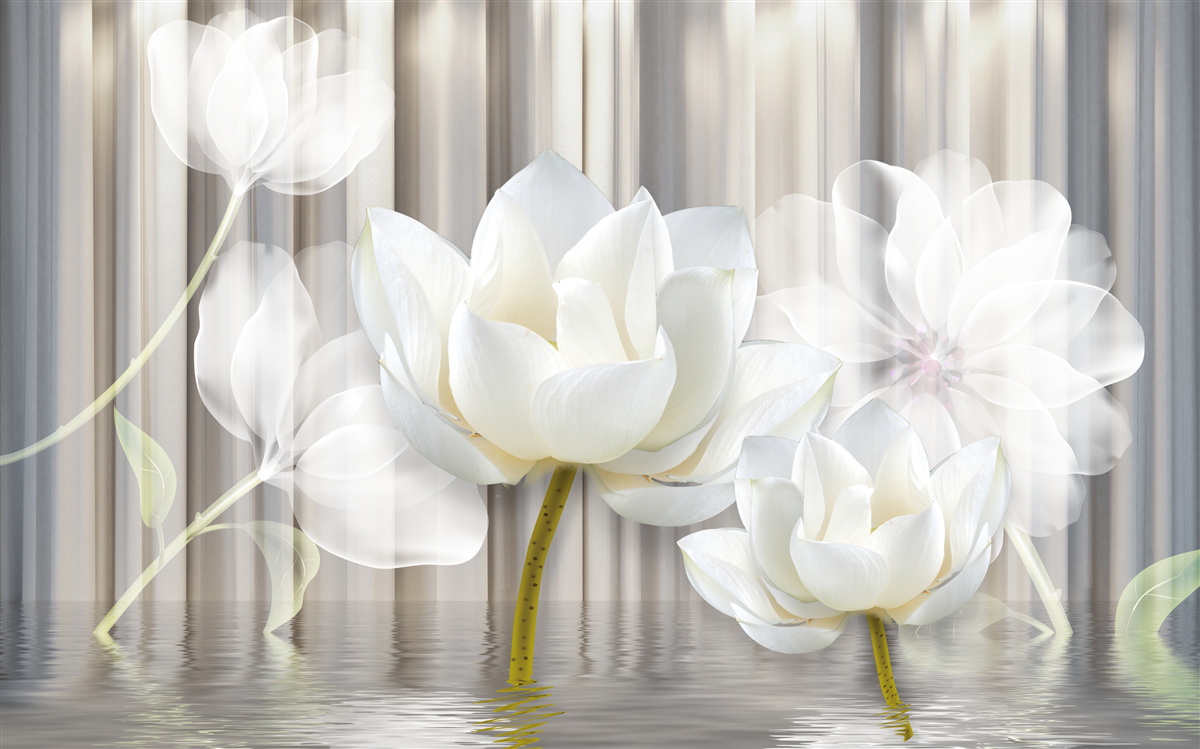 Fototapet lalele albe, ușoare ca aerul