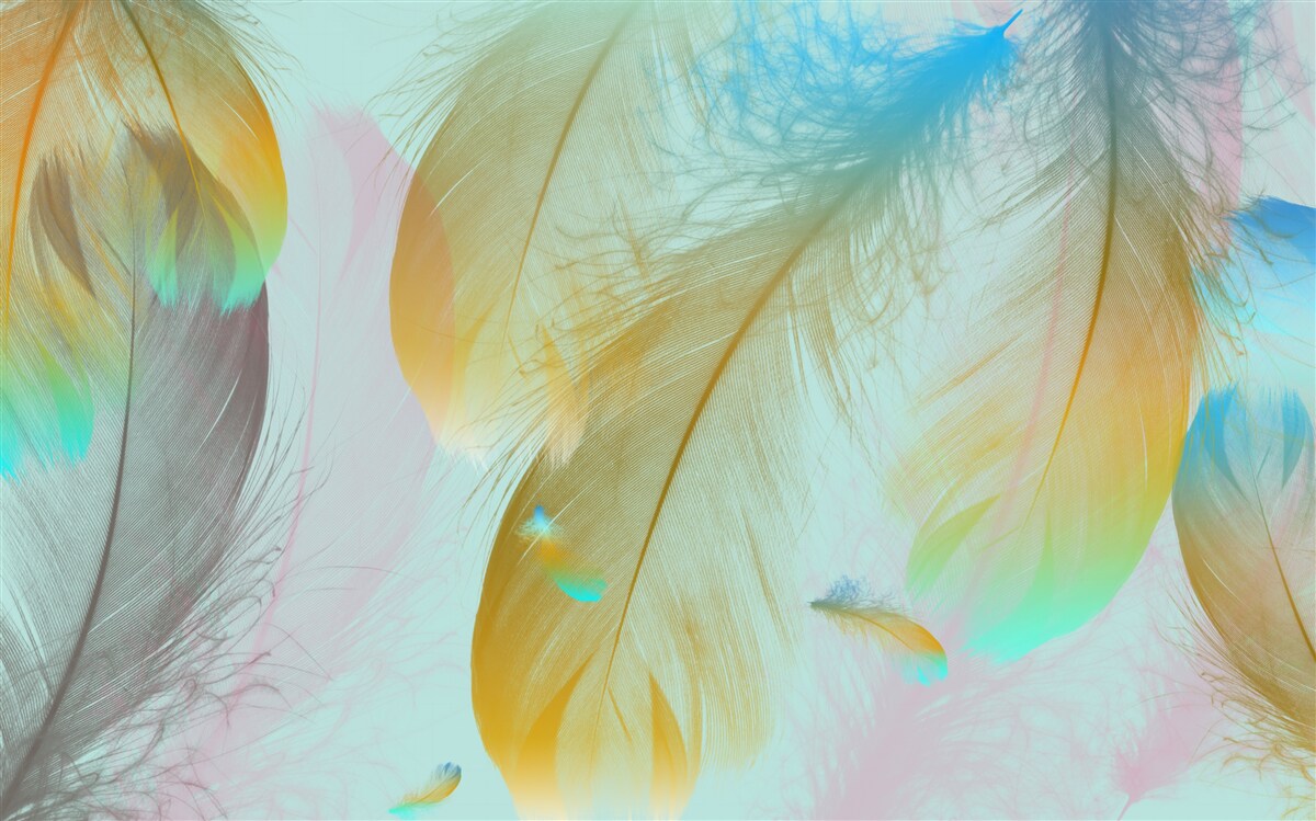 Fototapet zbor pene moi