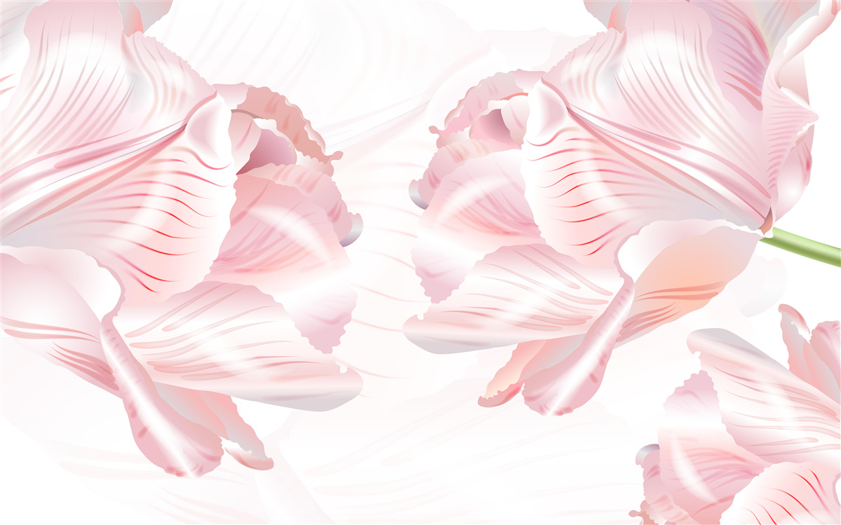 Fototapet lalele roz cu un aer romantic