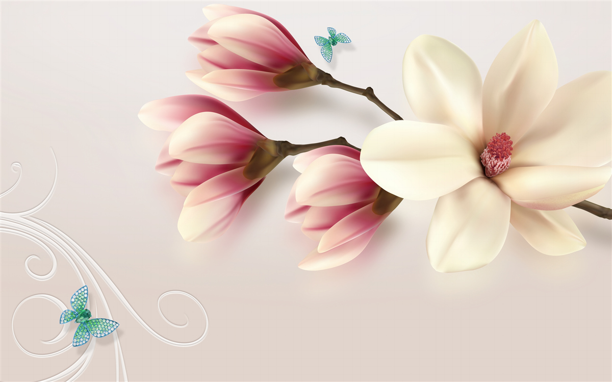 Fototapet magnolie albă în plină înflorire