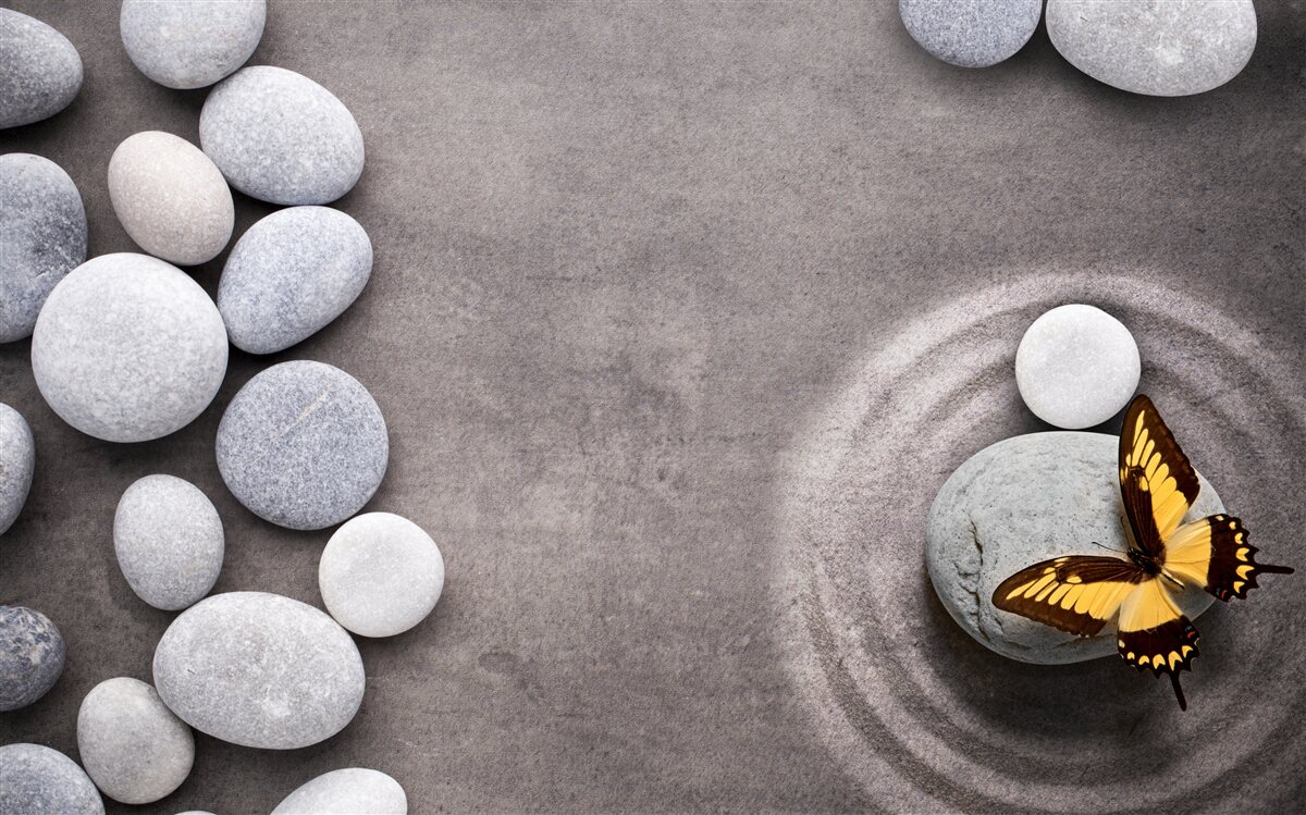 Fototapet fluture așezat pe o piatră lângă un iaz