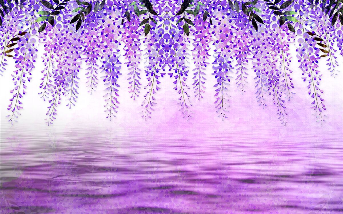 Fototapet glicină cu o nuanță purpurie pe un fundal de aceeași culoare