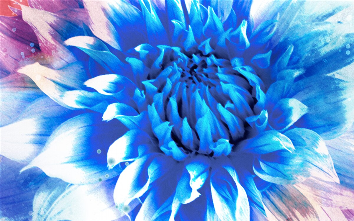 Fototapet albastru ca azurul aster