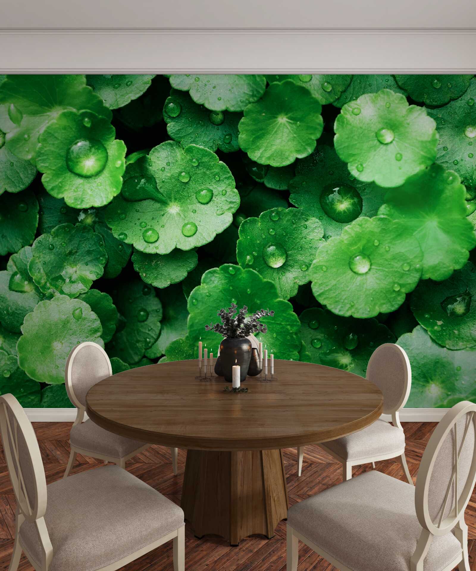 Fototapet frunze verzi acoperite cu picături proaspete de apă