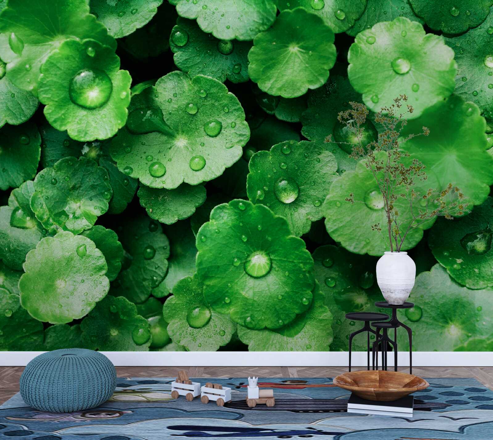 Fototapet frunze verzi acoperite cu picături proaspete de apă