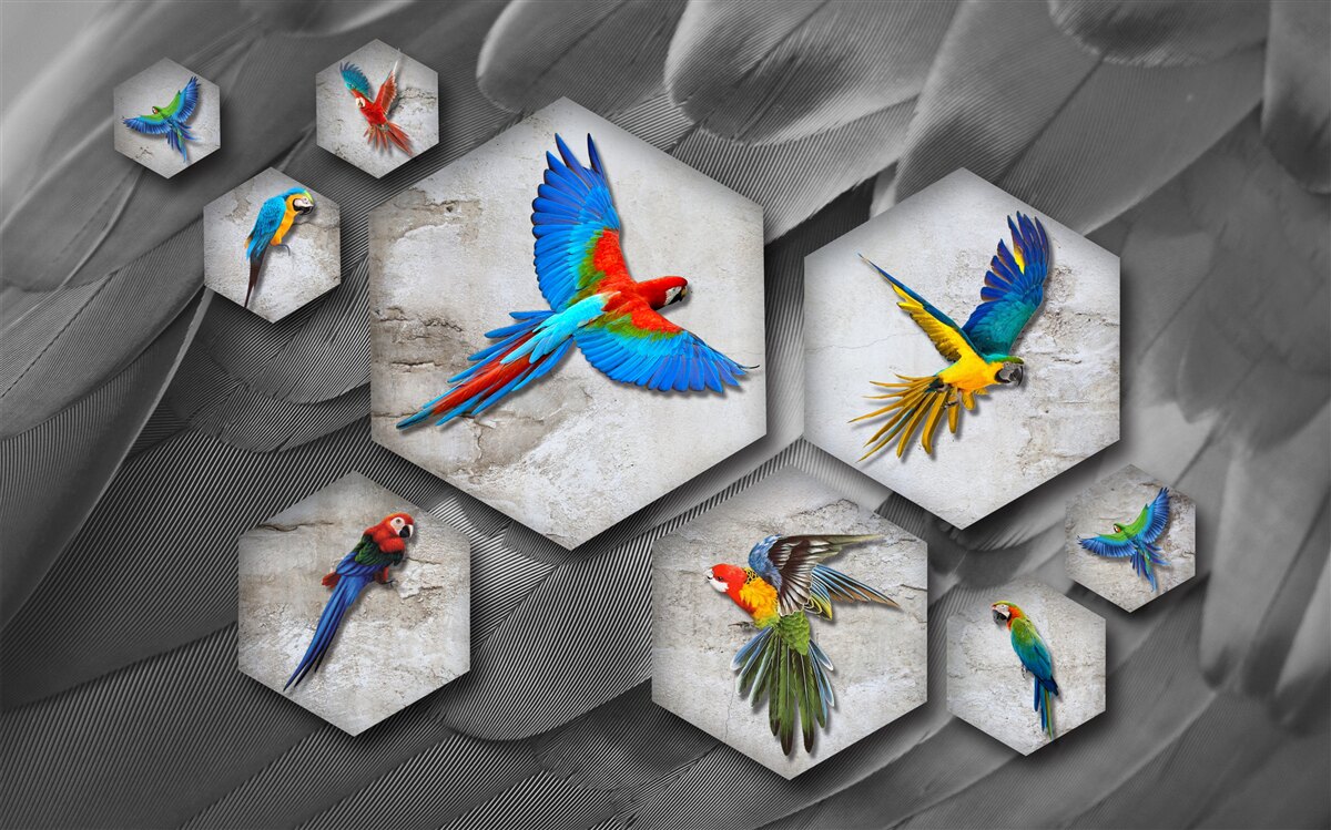 Fototapet diferite tipuri de papagali colorați