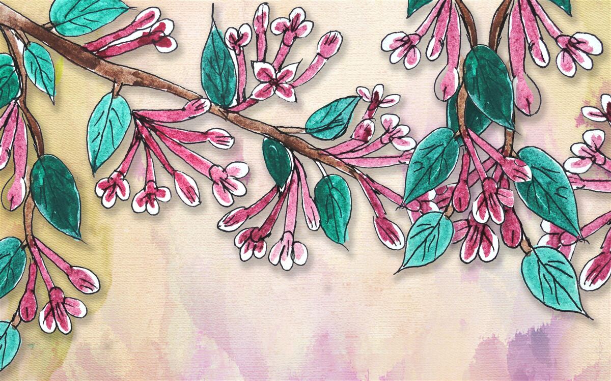 Fototapet ramura sakura înflorește și lasă o