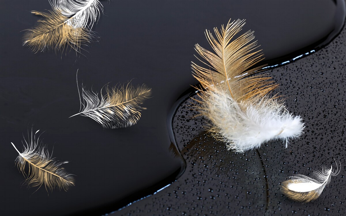 Fototapet moale în alb ca zăpada și auriu