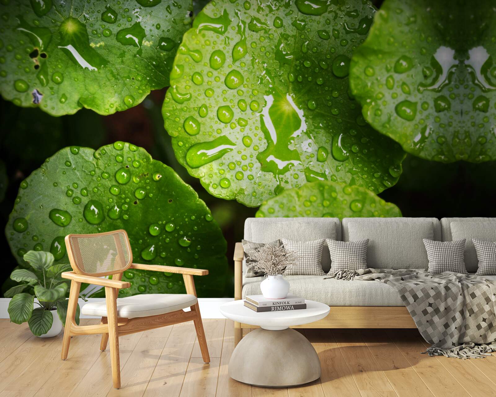 Fototapet frunzele spălate de picăturile de ploaie au căpătat o nuanță verde bogată