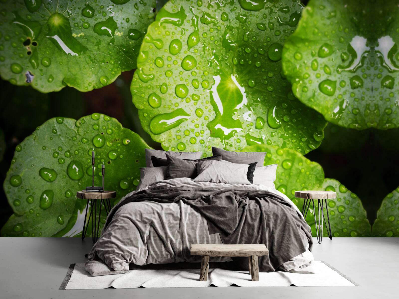 Fototapet frunzele spălate de picăturile de ploaie au căpătat o nuanță verde bogată